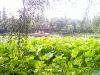 hangzhou0231_small