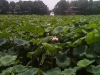 hangzhou0242_small
