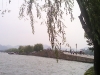 hangzhou0257_small