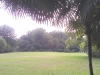 hangzhou0263_small