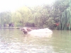 hangzhou0265_small